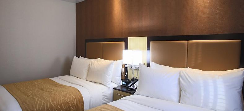 Comfort Inn Lower East Side New York